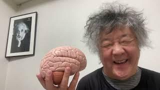 チャレンジはしても、苦労はするな