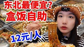 不知道老板有没有亏！ 12元/位的东北盒饭自助，荤素不限？饭无限续？南方妹子震惊！|西边有座桥