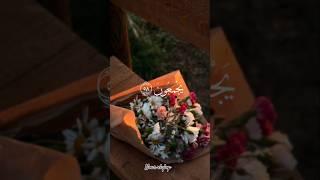 هدوء وحلاوة القرآن الكريم  | نور القلوب