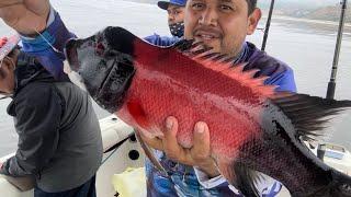 Pescando en palos verdes