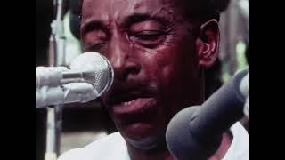 Mississippi Fred Mcdowell (Live Memphis '69)