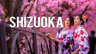 Shizuoka Japan Travel: 11 Best Things To Do In Shizuoka Japan  in 2024