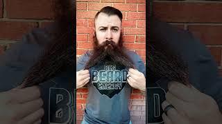 Big Beard Energy! @thebeardmode #youtubeshorts #beard #bearded #beardcare #instagram #funny
