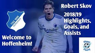 Robert Skov - Welcome to Hoffenheim: 2018/19 Best Highlights