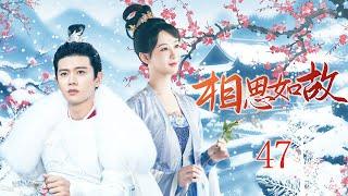 2024古装大戏【相思如故 Lovesickness as before EP47】小公主替姐姐嫁给废柴王爷，本该死在出嫁那天的她得到重生玉佩，和王爷一起改写命运｜任嘉伦 杨紫