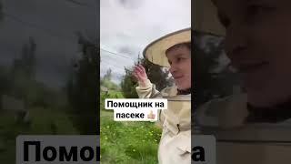 А кто вам помогает на пасеке? #пчеловодство #пчелопакеты #мёд #природа #пчелы