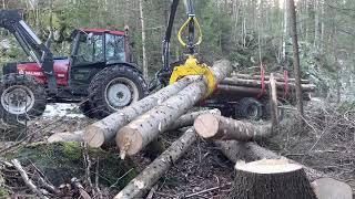 Skogsarbeid med valmet 665. kjører ut sag tømmer til vedplassen.