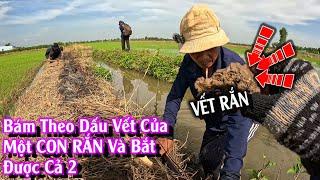 Bám theo DẤU của một CON RẮN kết quả được 2 | TGSB #1026