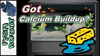 How to get rid of Calcium Buildup