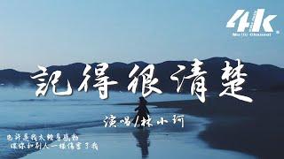 林小珂 - 記得很清楚『那晚你聽了我曾受的傷，說會保護我。』【高音質|動態歌詞Lyrics】