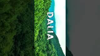 Name-ART-Dalia-Status-Video-Alight-Motion#nameart#statusvideo#alight_motion#imeditor#shrots#viral