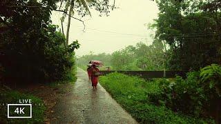 Rainy Day Walking Tour in a Village| ASMR Rain Walks Compilation for Meditation  and Instant Sleep