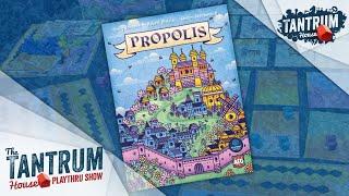 Propolis AND Point Galaxy Playthru