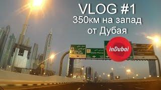 VLOG  in Dubai 1 | "350км на Запад от Дубая"| Блог в Дубае