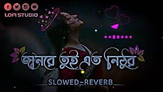 jan re tui amon kore amay marish na || জানরে তুই এত নিঠুর হতে পারিস না || [Slowed~Reverb] Song #lofi