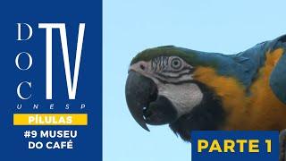 Doc TV Unesp - Pílulas | Museu do Café - Parte 1 #tvunesp