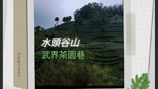 [小馬來逛逛19] 水頭谷山 武界茶園巷 Mt. Shuitou Valley (Taiwan)