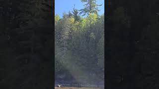 Checking out the river at Chutes... and being watched!