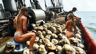 Giant Clam Harvest - US Fishermen Harvest Hundreds of Billions of Giant Clams This Way