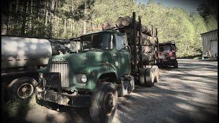 Mack DM Hauling Oak Logs