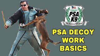 PSA Decoy Work Basics