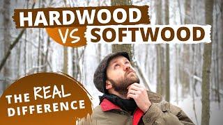 The Actual Difference Between Hardwood and Softwood