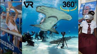 Sharks4kids 360 VR Shark Dive