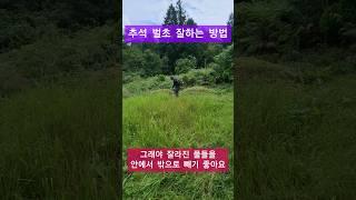 추석 벌초 잘하는 방법