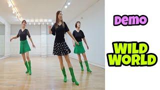 Wild World - Line Dance (Demo)/Intermediate/Maddison Glover