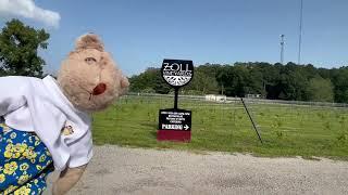 Zoll Vineyards in Gloucester County Va.  a Great winery great wine, food and customer service !