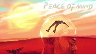 Rema - Peace Of Mind (Official Instrumental)