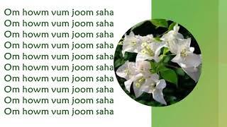 Om Howm Vum Joom saha
