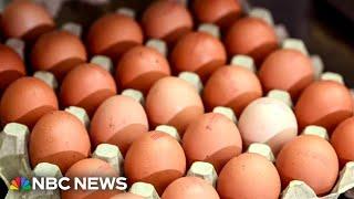 Nationwide egg shortage ahead of Thanksgiving  