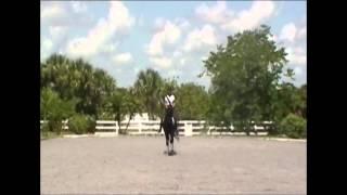 Cloverleaf Drill in Canter by Dressage Hub