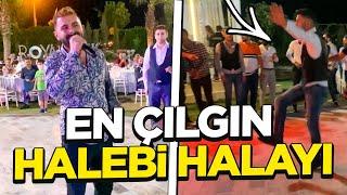 ÇILGIN HALEBİ HALAYI | SÜPER HALAY | AHMET MAZI