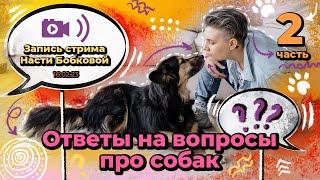 Стрим Насти Бобковой. Вопросы-ответы. Часть 2