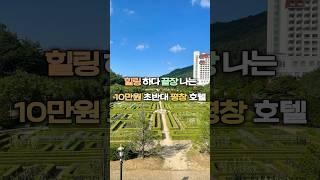 1박 10만원 초반대 가성비 최강 평창 호텔 국내 최대 규모 프랑스식 정원이 있는 켄싱턴 평창 호텔 #평창 #평창여행 #켄싱턴호텔