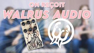 Les FONDATEURS DE @walrusaudioeffects vous présentent la EONS et quelques anecdotes...