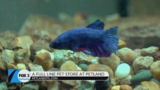 Petland helps match people with the right pet for their family