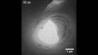 Specimen morphology influences phonon propagation in germanium (UEM)