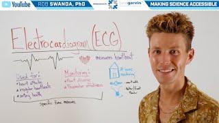 Overview of an Electrocardiogram (ECG or EKG)