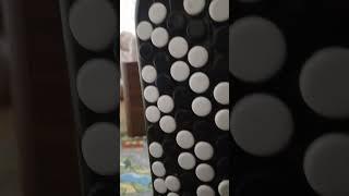 Баян Тула - баянная душа #баян #shorts