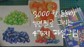 3000원 돌돌이 색연필로 그리는 4가지 과일 그림 Drawing fruits with colored pencils |  색연필 드로잉