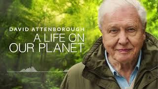 David Attenborough | A Life On Our Planet | Audio Book