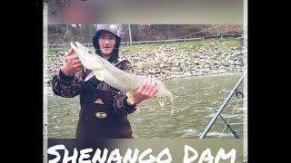 Shenango Dam fishing