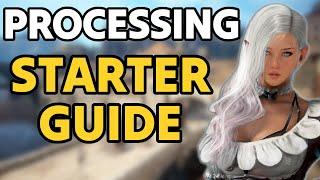 Getting Started, Gear, Mastery - Processing Guide Part 1 (BDO)