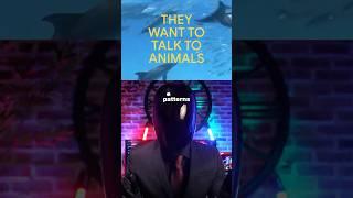 They Built an AI to Talk to Dolphins… and It Worked #aitechnology #aitools #aiinnovation #dailyai