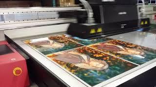 uv direct print white ink +color on Agfa Titan flatbed printer Aclick Mar11 2016