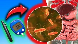 Blood Sugar Control SHOCKER Gut Bacteria's Hidden Role! | Animated