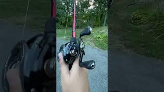 Daiwa anti backlash system